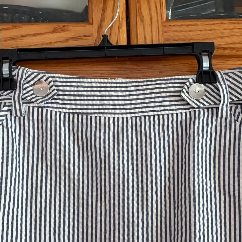 Elliott Lauren Navy & White Striped A-Line Skirt size 10